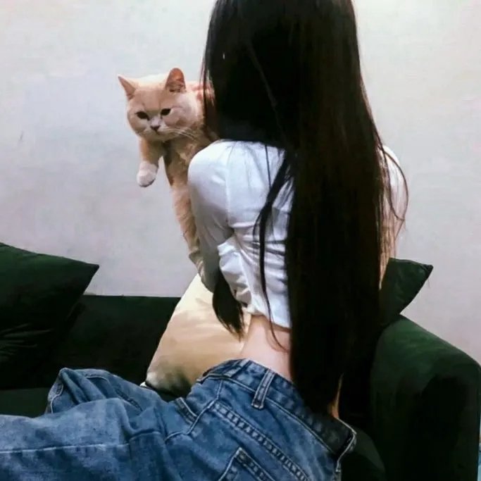 大破白莲教粤语